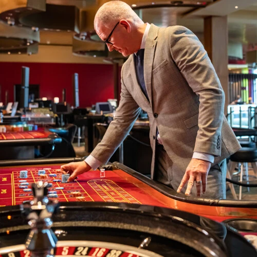 novice or experienced gamer